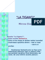 22543536-La-Tiganci