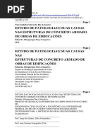 Estudo de Patologias e Suas Causas Nas Estruturas de Concreto Armado de Obras de Edificações