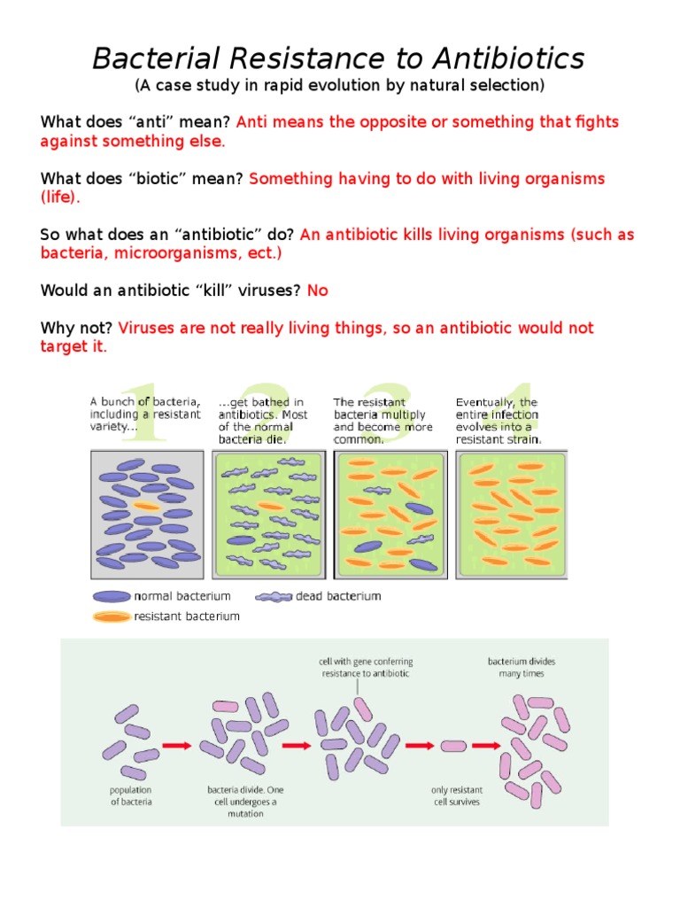 Bacterial Antibiotic Resistance Explained | PDF