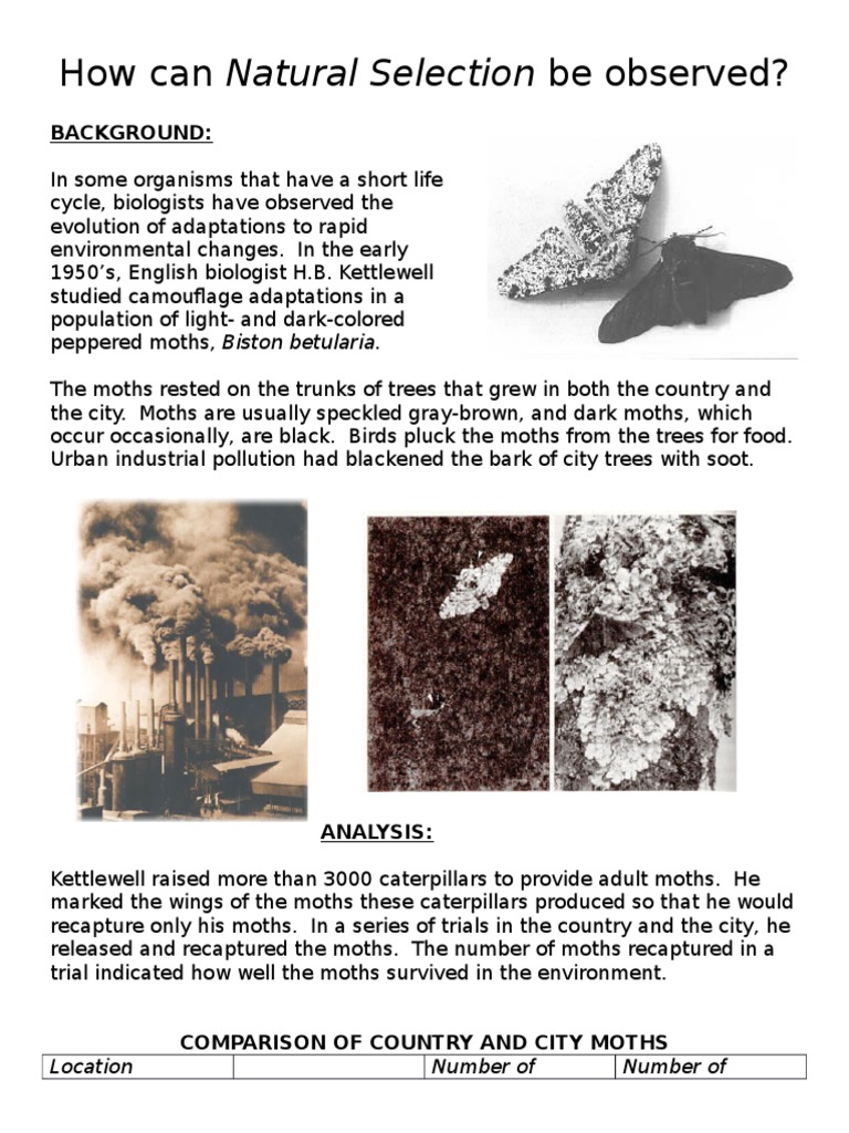 peppered moths Biological Evolution Evolutionary Biology