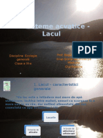 Ecosistem Acvatic Lacul