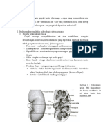 Perkemihan & Reproduksi