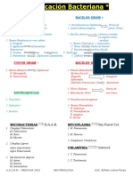 Clasificacion Bacteriana