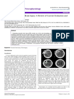 Penetrating Traumatic Brain Injury a Review of Current Evaluation Andmanagement Concepts 2155 9562 1000336