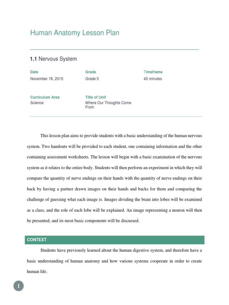 Nervous System Lesson Plan 1 | PDF | Brain | Educational Assessment