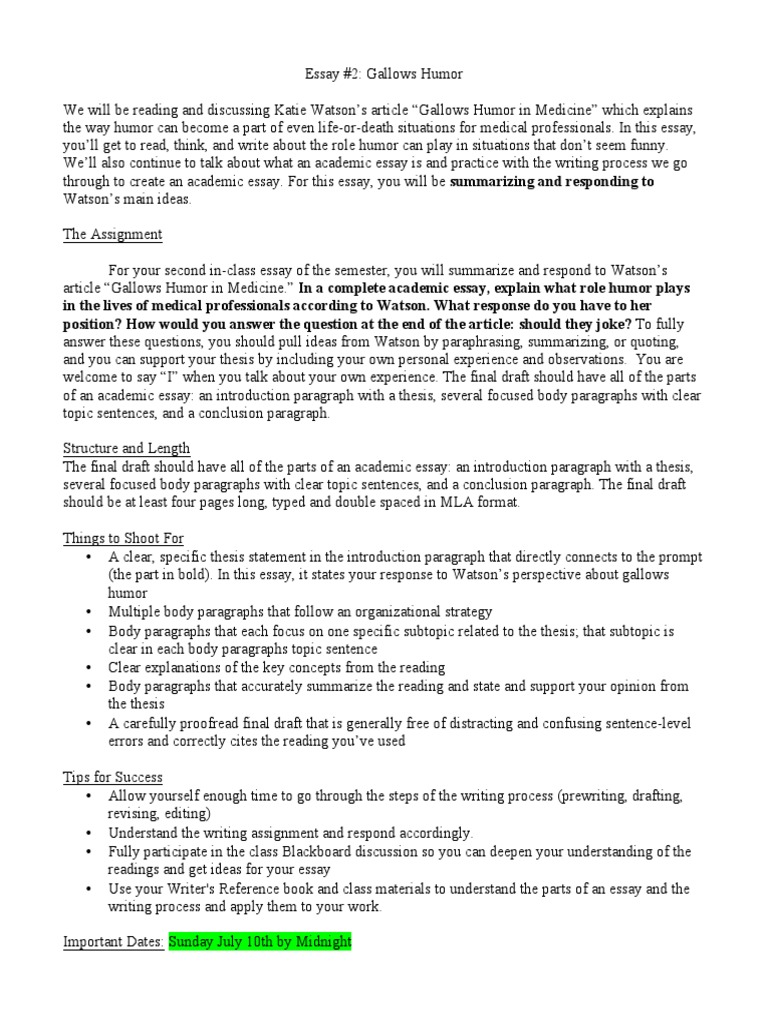 Best essay writing service in usa image