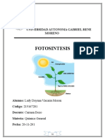 Informe de Fotosintesis Zeus 10 5