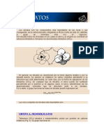 Los Silicatos Son Los Componentes Más Importantes de Las Rocas y