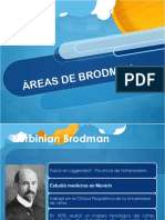 Areasdebrodman exposicion