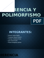 Herencia y Polimorfismo