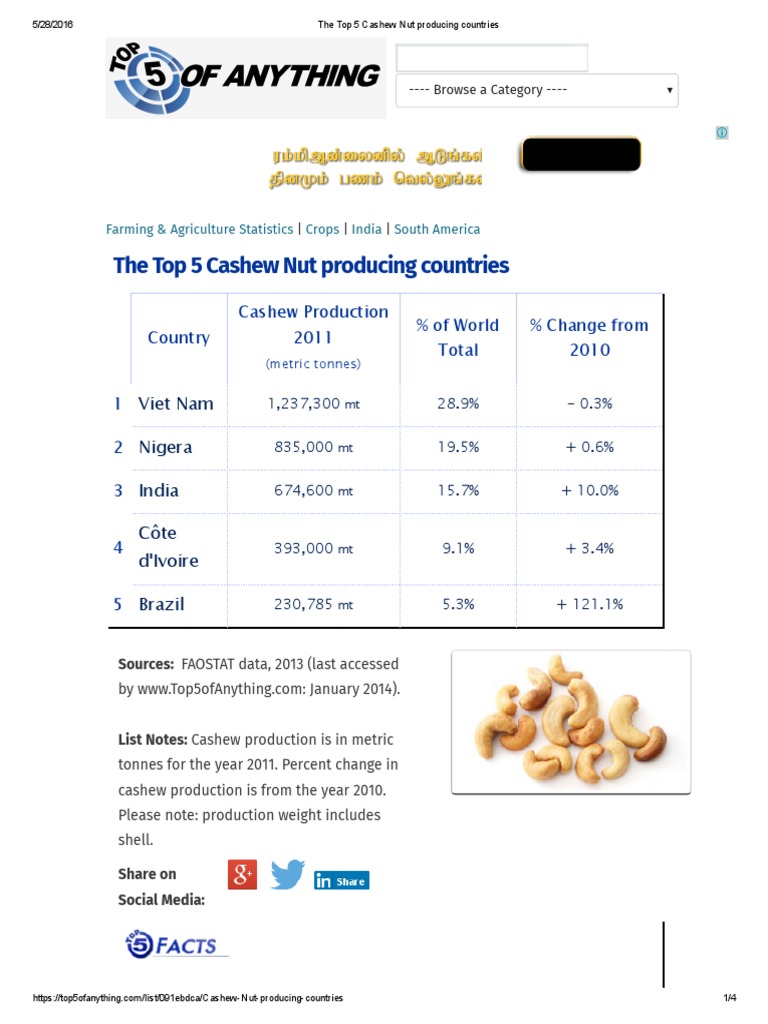 The Top 5 Cashew Nut Producing Countries Nut (Fruit) Tonne