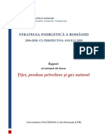 Raport Sesiune Lucru - Titei, Produse Petroliere Si Gaze Naturale - 6 Iunie
