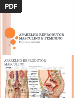 96629538 Aparelho Reprodutor Masculino e Feminino