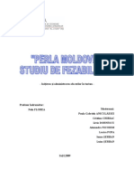 24382714-Studiu-fezabilitate-pensiune.doc