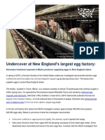 Humane Society of the U.S. report on Turner egg farm
