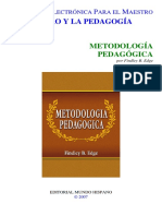 Metodologia y Pedagogia