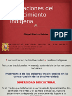 Aplicaciones Del Conocimiento Indígena de Las Plantas