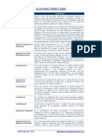 GLOSARIO_TRIBUTARIO.pdf