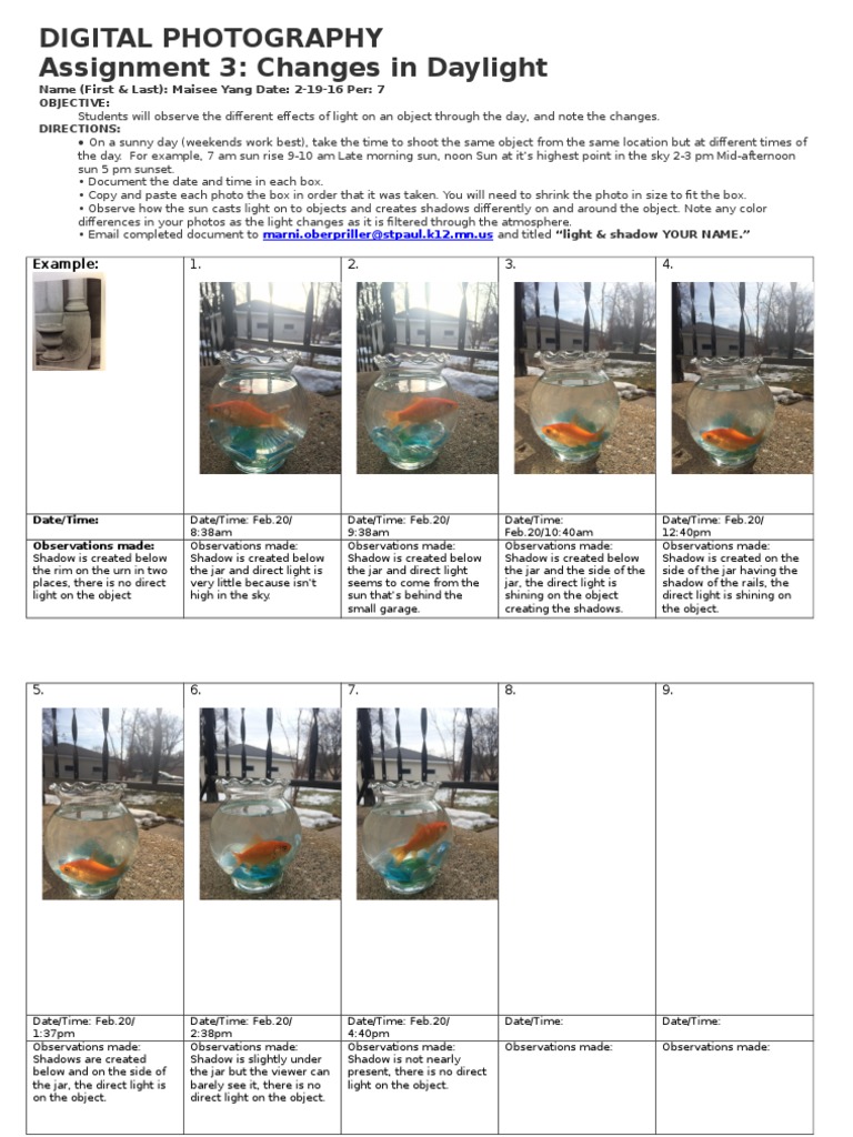 Assign 3 | PDF