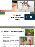 DENGUE-CIKUNGUNYA-ZICA-Nov-15.pptx