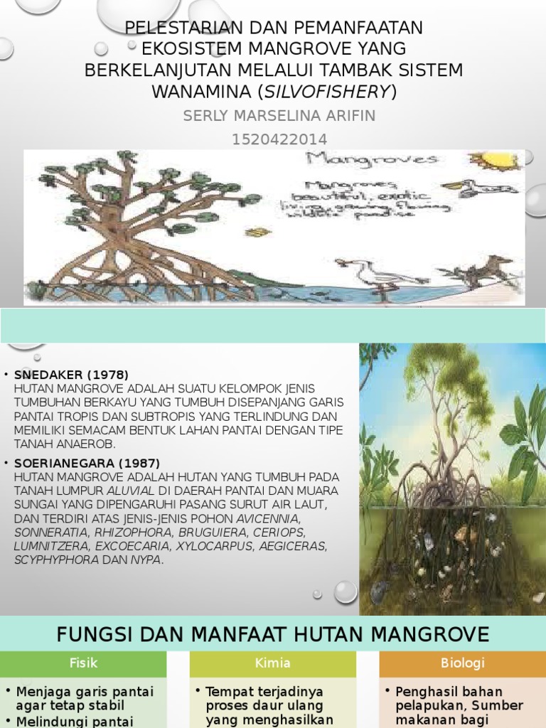 Pelestarian Mangrove Melalui Wanamina | PDF | Teknologi & Rekayasa