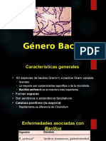 Bacilos G(+)
