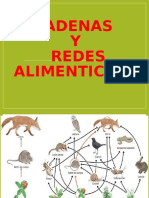 Cadena Alimenticia