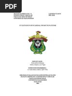 Download Stemi by Rerin Tampubolon SN315160230 doc pdf