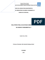 Relatório Final - Ensino Fundamental II - Emilio Flores Filho -Ano Letivo 2015