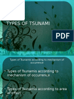 Tsunami Types