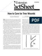 How To Care For Tree Wounds: Actsheet