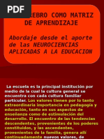 El cerebro como  matriz de aprendizaje.ppt