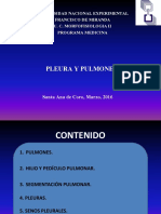 Pulmones y Pleura(2)