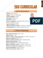 SINTESIS CURRICULAR formato (2).doc