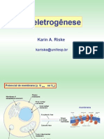 aula_bioeletrogenese
