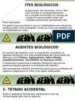 Agentes Biológicos 