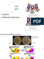 Recombinant DNA