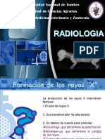 Radiologia Karla