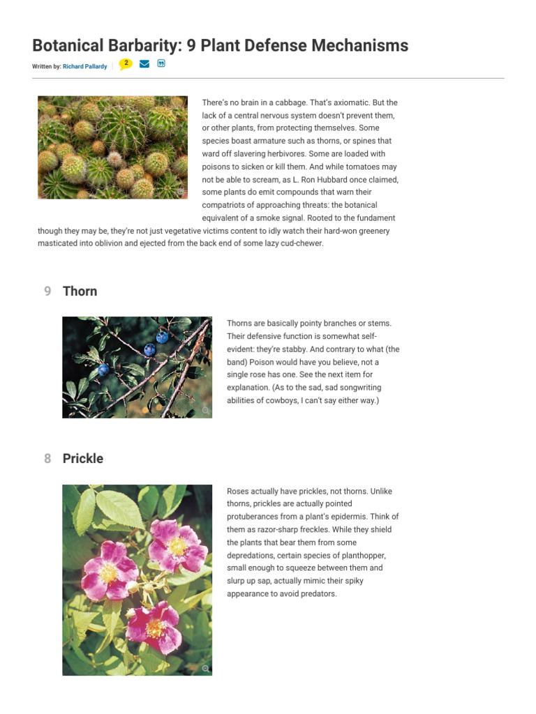 9 Plant Defense Mechanisms Horticulture And Gardening