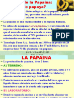 PAPAINA.ppt