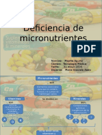 Micronutrientes Deficiencia