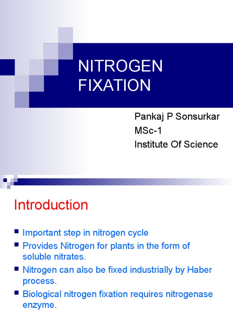Nitrogen Fixation Biochemistry Chemistry