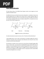 Plate Element