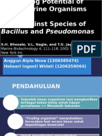 Antifouling Potential of Some Marine Organisms From India