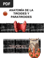 Anatomía de La Tiroides y Paratiroides