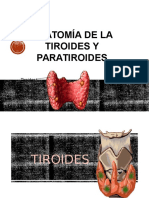Anatomía de La Tiroides y Paratiroides