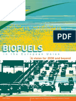 Biofuels Vision 2030 En