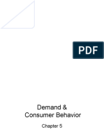 Demand & Consumer Behavior - Chapter 5