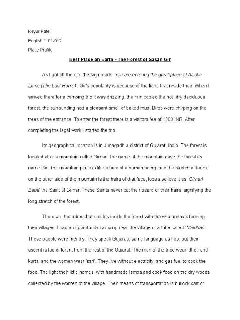 Place Essay Lion Nature