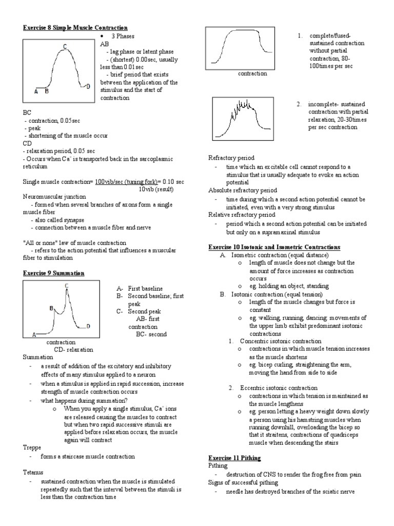 Exercise 8 Simple Muscle Contraction | PDF | Muscle Contraction ...